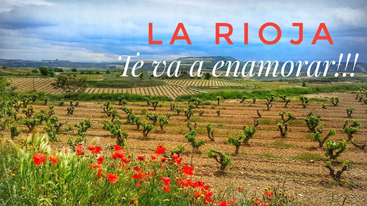 El Rincon Del Marques Centro Con Encanto By Apartamentos Logroño Eksteriør billede